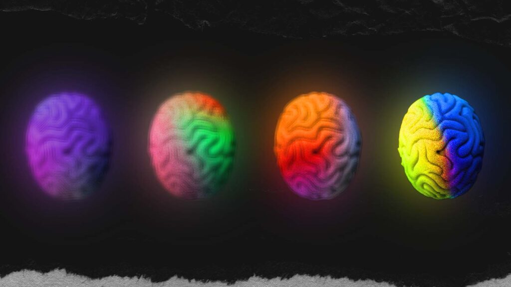 imagens do c&eacute;rebro em v&aacute;rios estados emocionais