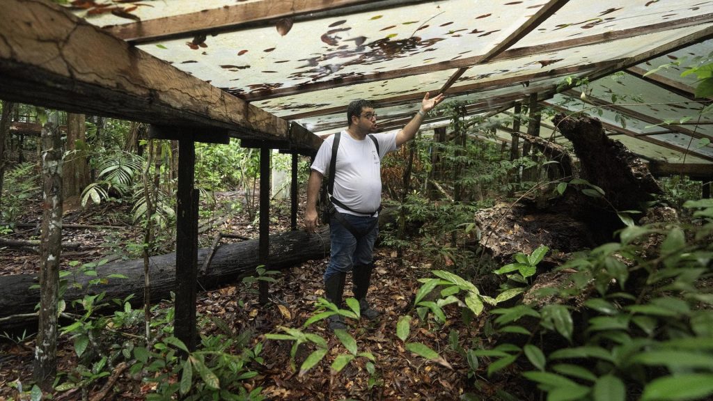 O pesquisador Joao de Athaydes em área do projeto Esecaflor