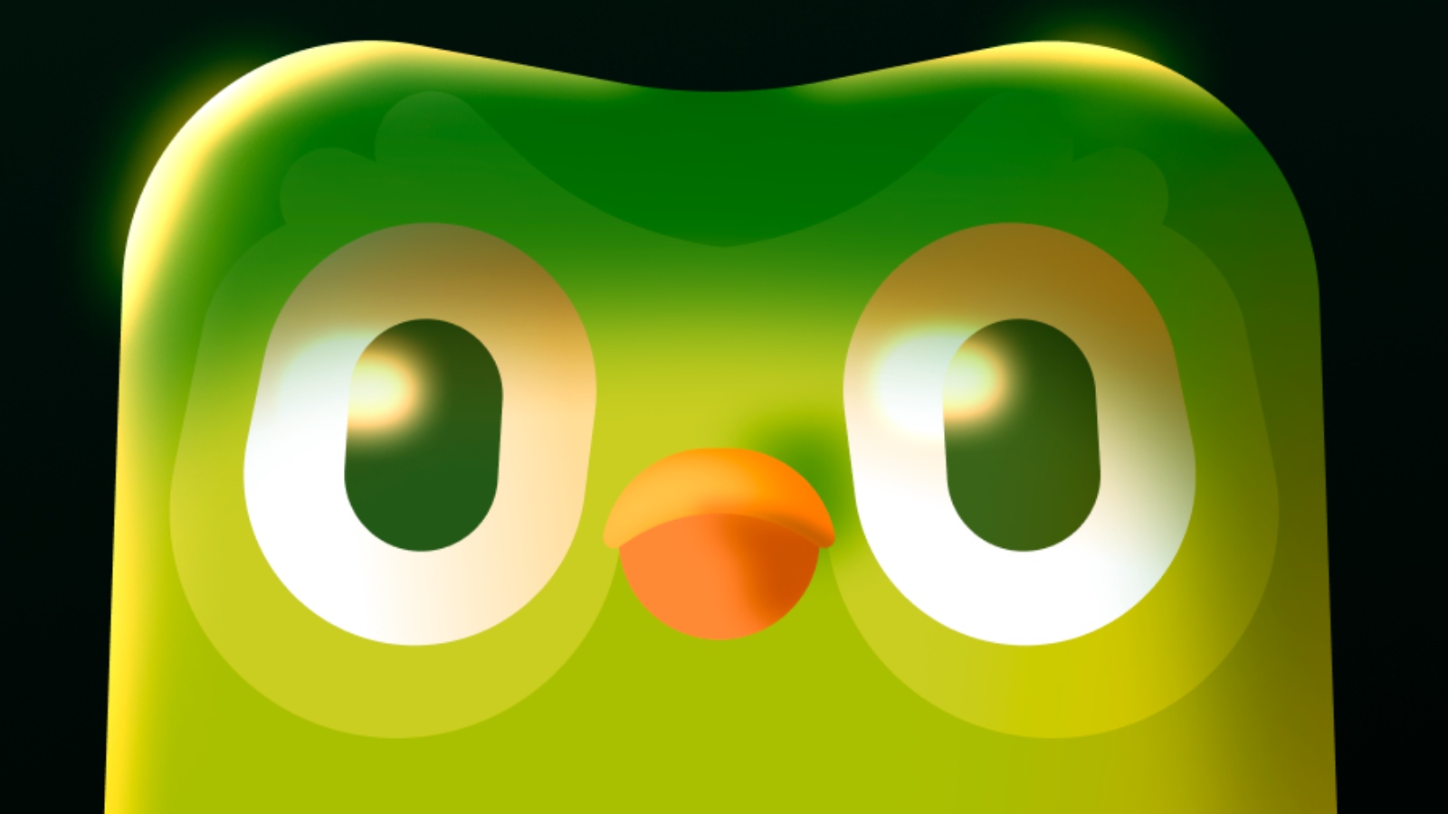 O aplicativo ensina idiomas