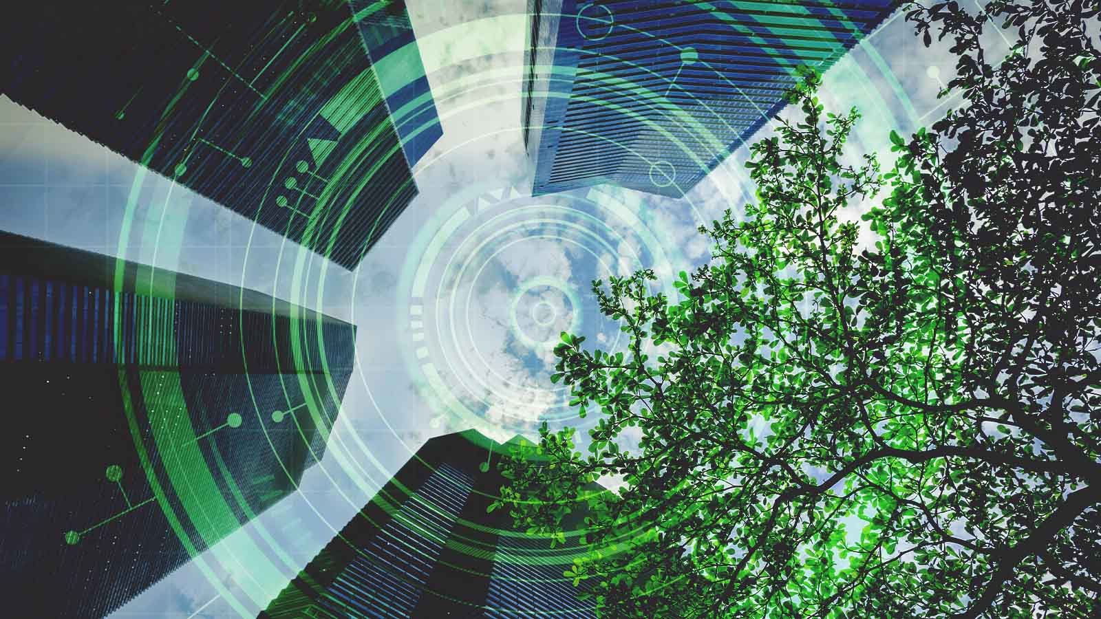 Como cidades inteligentes usam sensores para plantar árvores no lugar certo