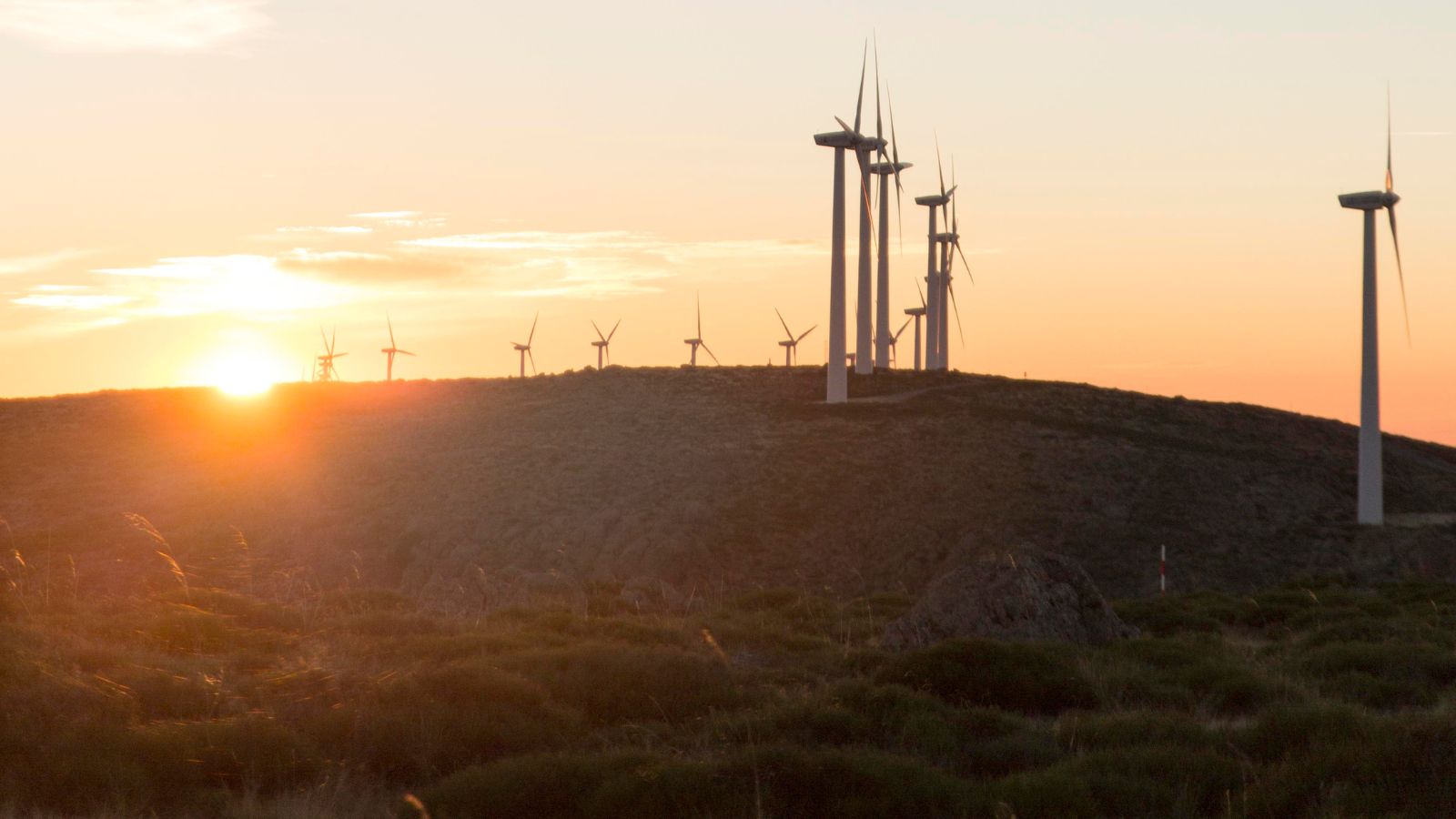 Campo de energia eólica