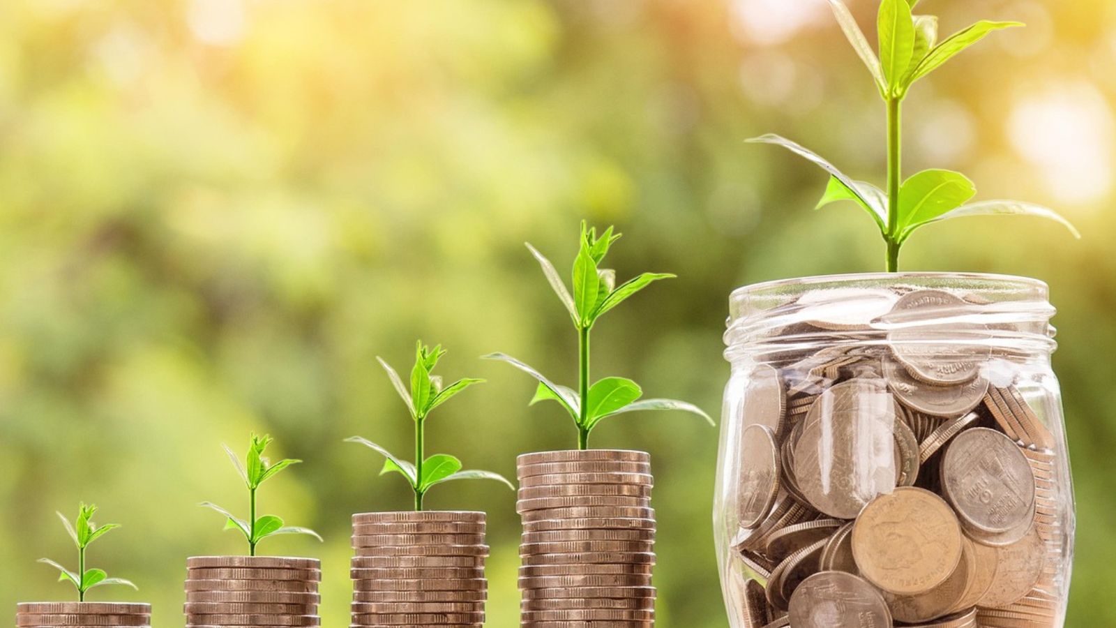 Moedas florescendo em pote metáfora pra sucesso em negócio