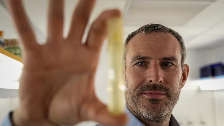 François Ribalet, professor da Escola de Oceanografia da Universidade de Washington