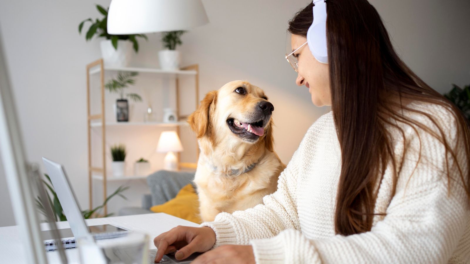 Mulher trabalhando com cachorro do lado