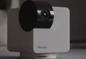 câmera de vigilância para animais de estimação