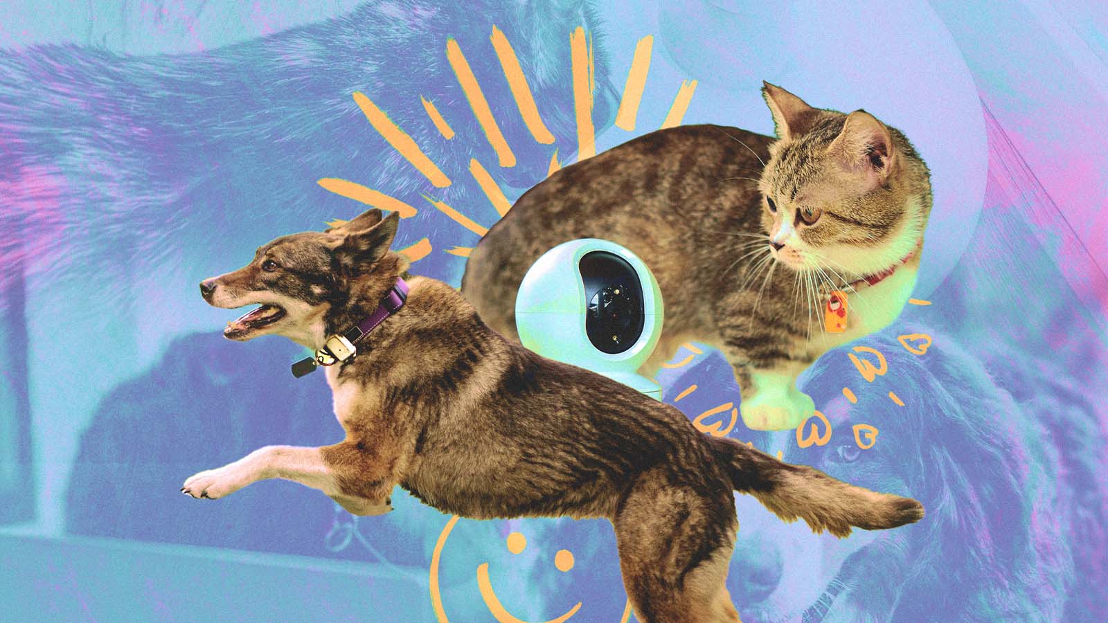 dispositivo para monitoramento de animais de estimação