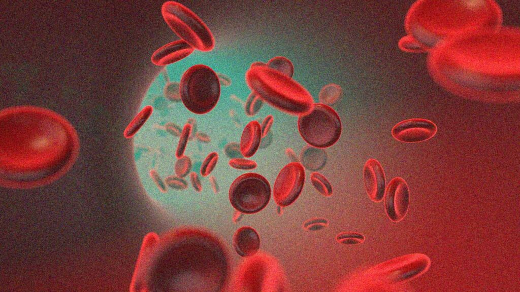 células do sistema sanguíneo