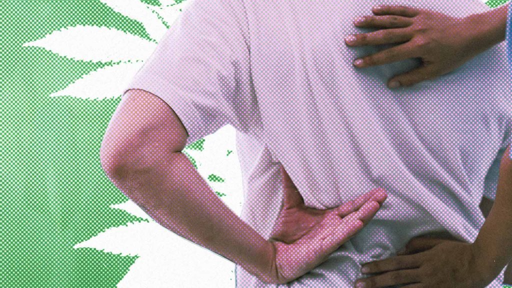medicamento &agrave; base de cannabis para dor lombar cr&ocirc;nica