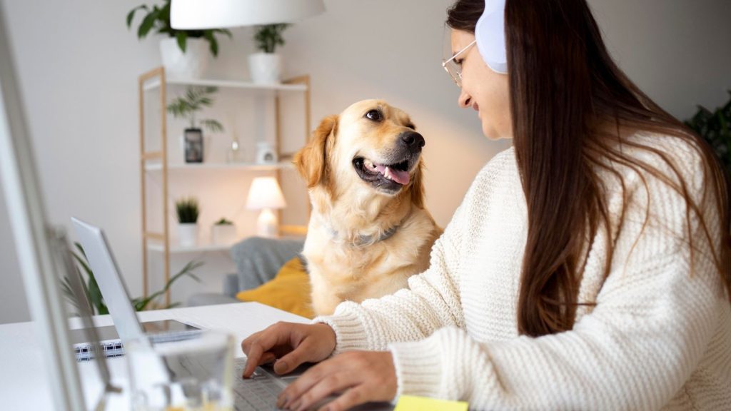 eletrônicos para pais de pet