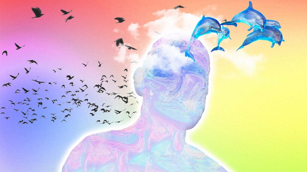 cabeça humana estilizada cercada de golfinhos