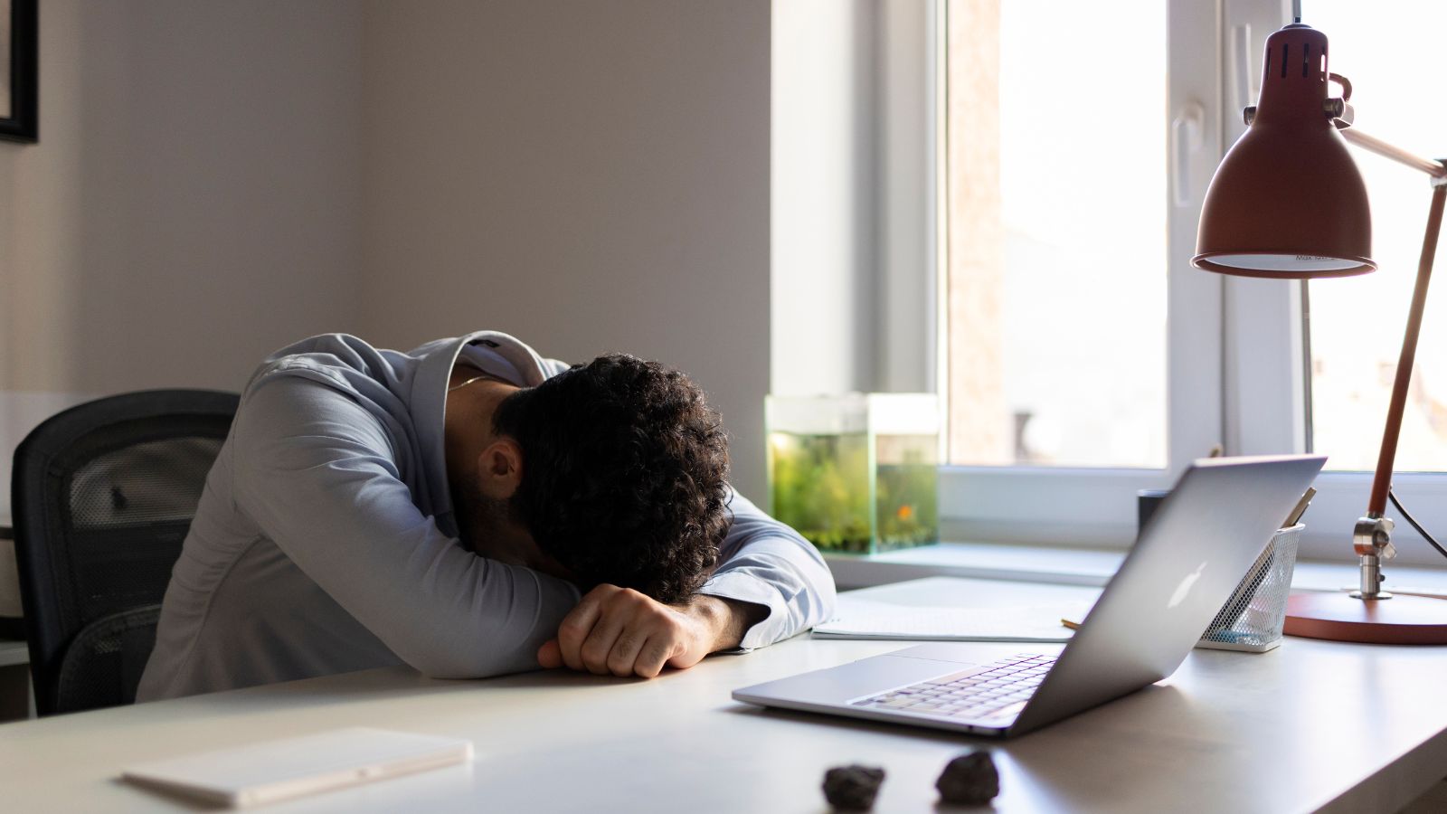 motivação procurar trabalho