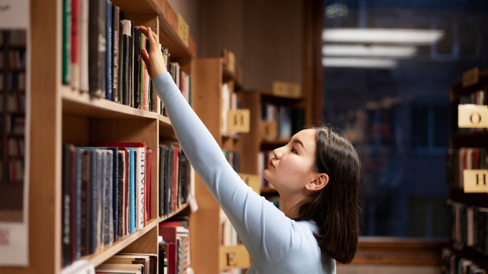 Baixar livros grátis