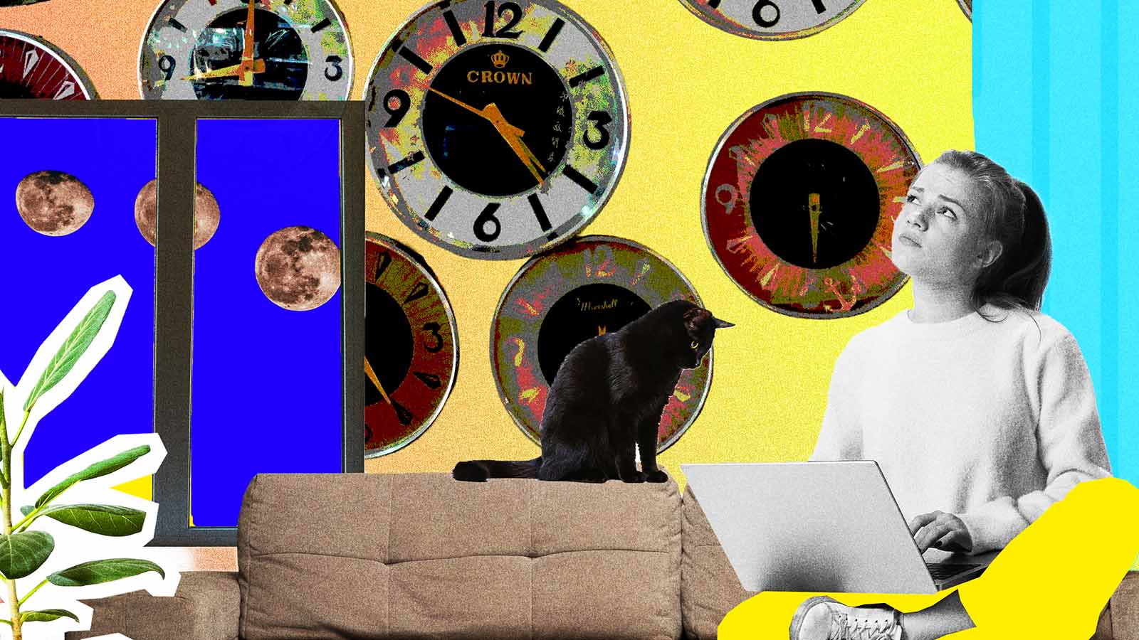 gato preto em primeiro plano com relógios ao fundo