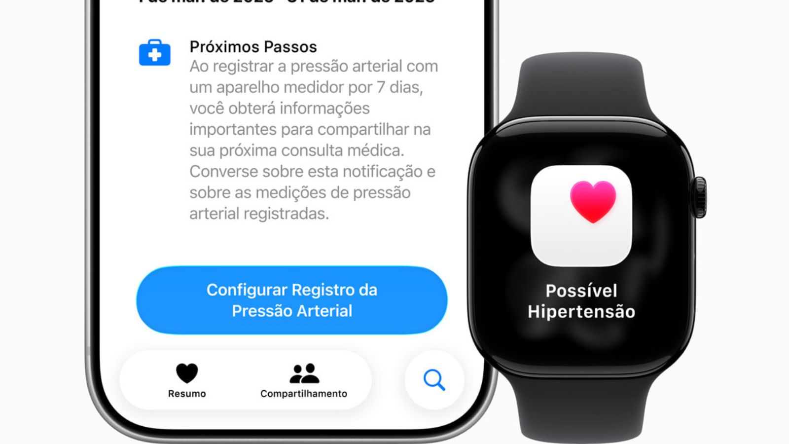 Modelo de notificação da Apple