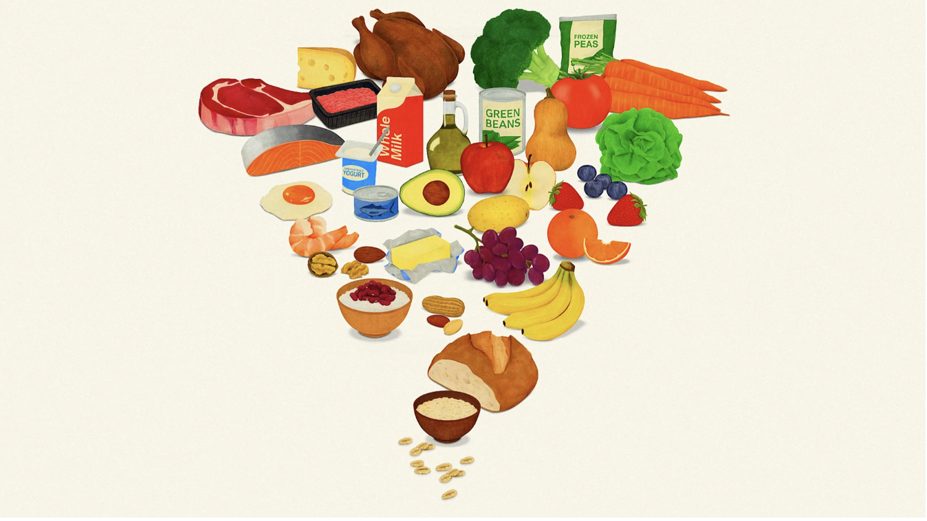 nova pirâmide alimentar dos EUA