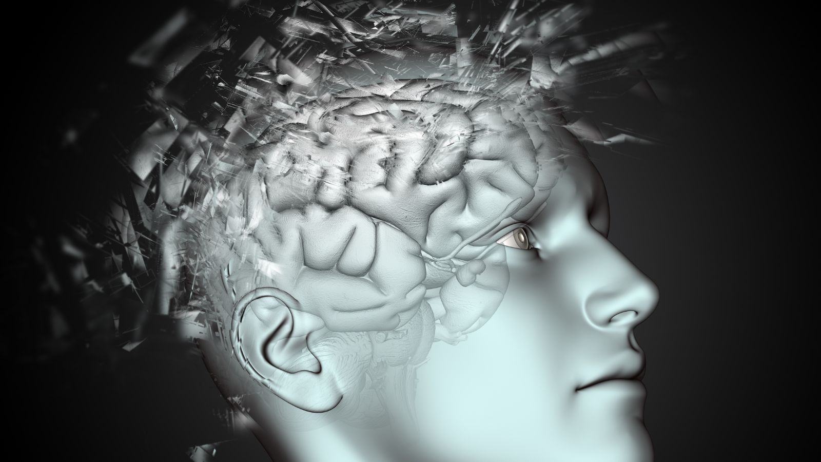 Simulação cabeça e cérebro