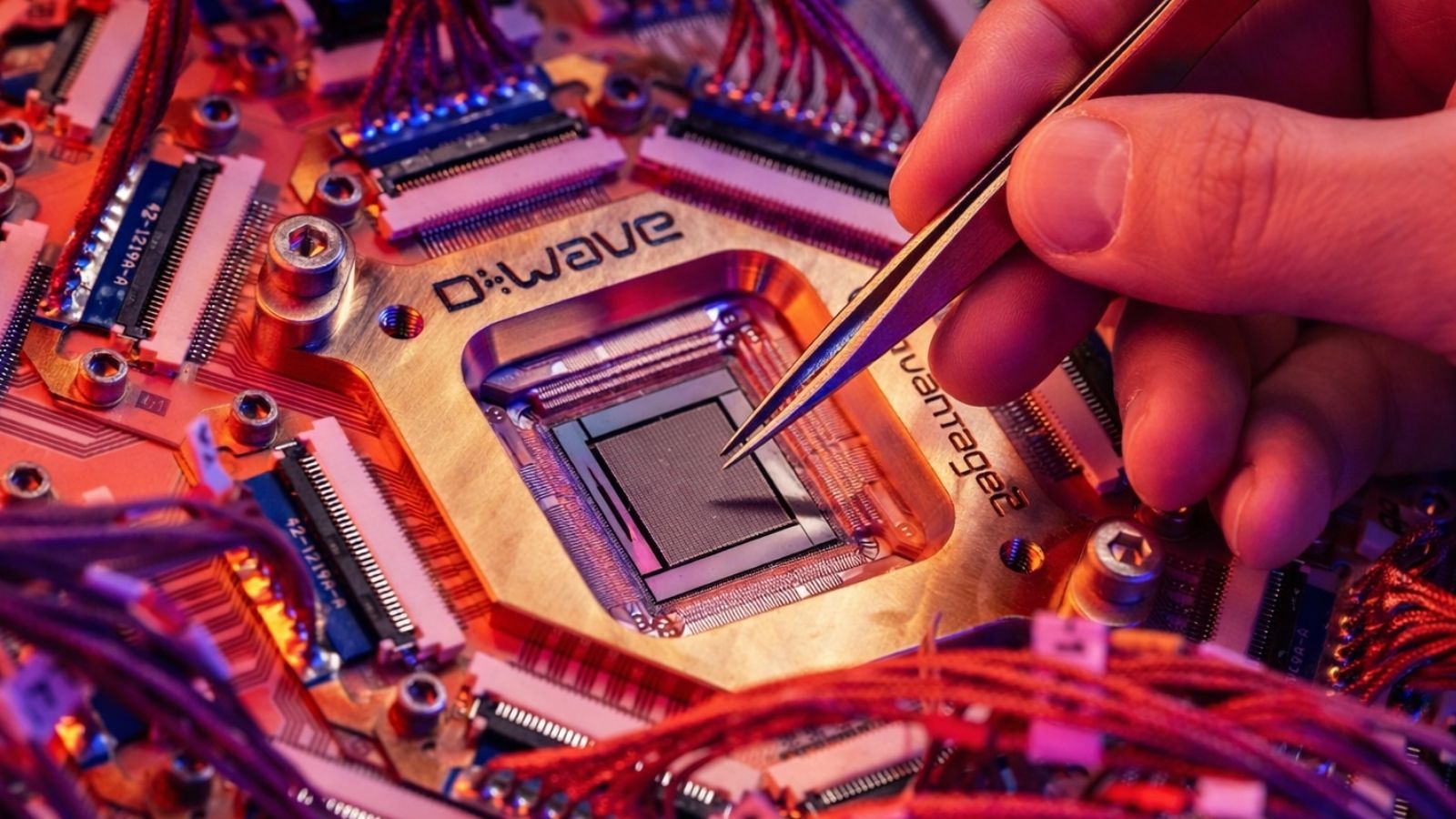 Chips d-wave e pinça