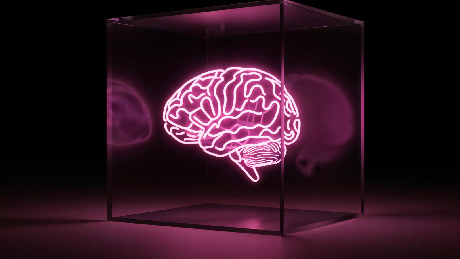 Cérebro em caixa