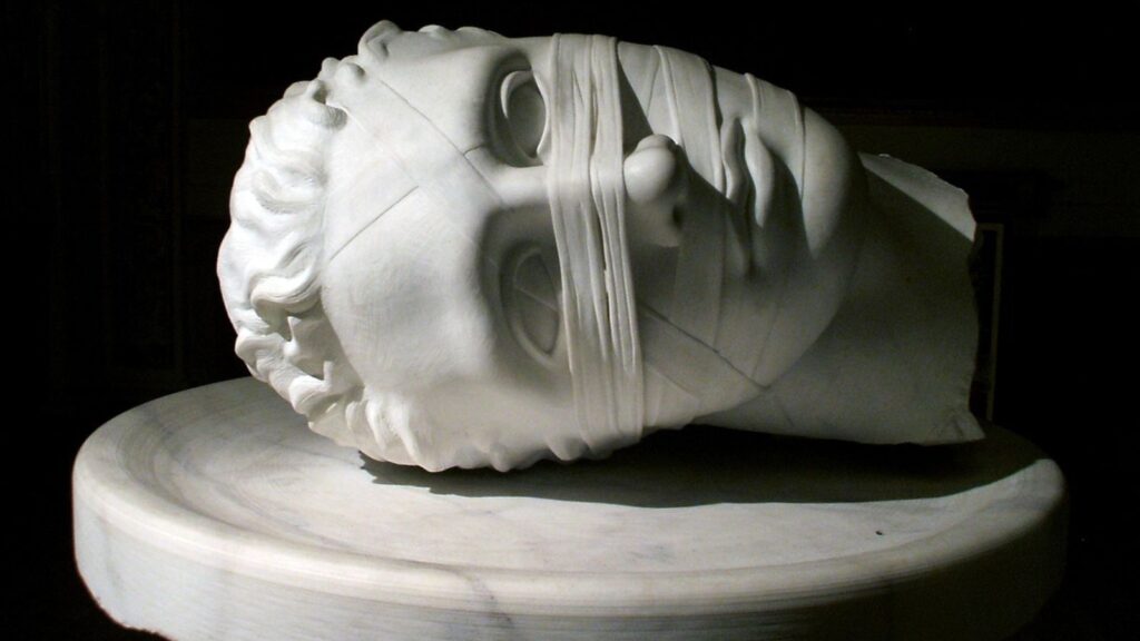 Cabe&ccedil;a de est&aacute;tua