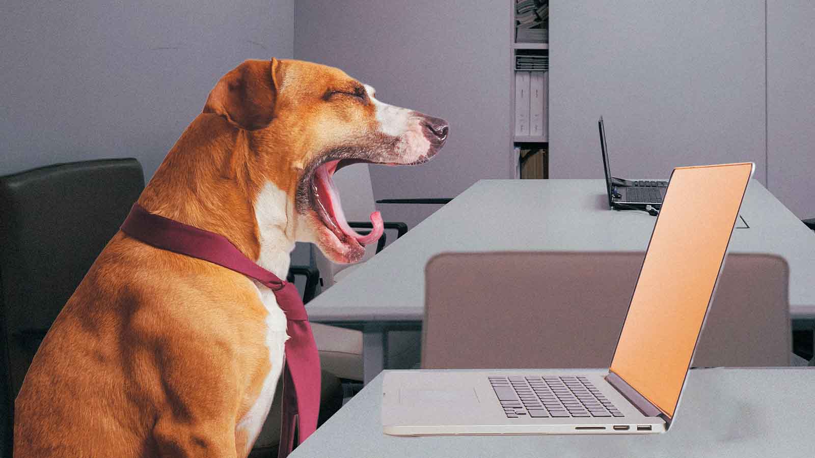 Travado no trabalho? 3 estratégias para sair do piloto automático