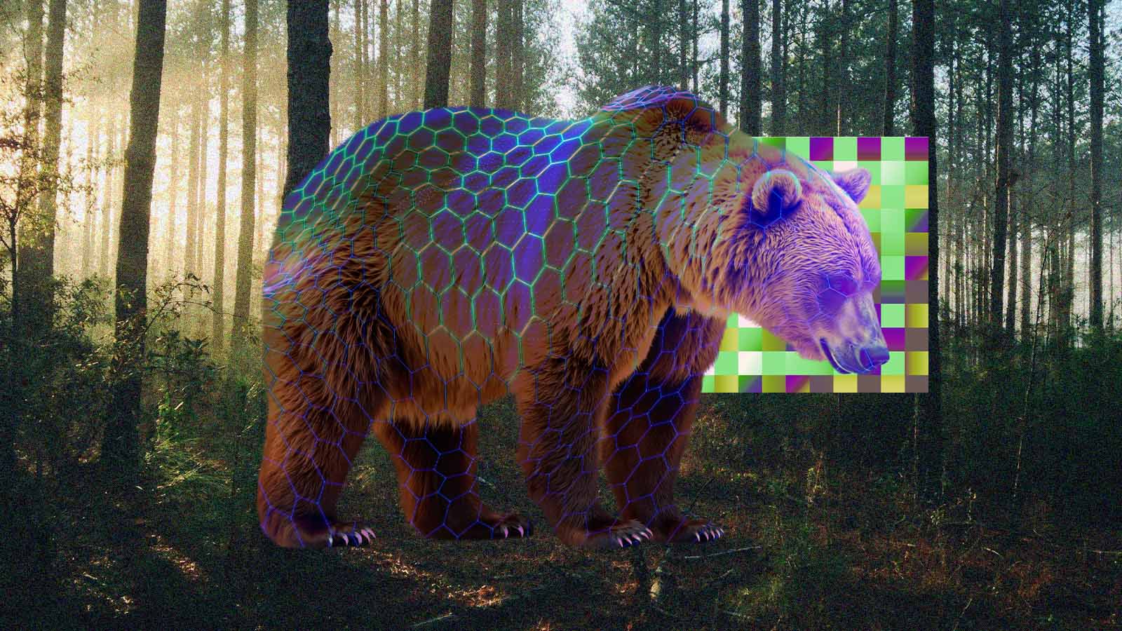 Como uma IA está ajudando a proteger ursos na natureza