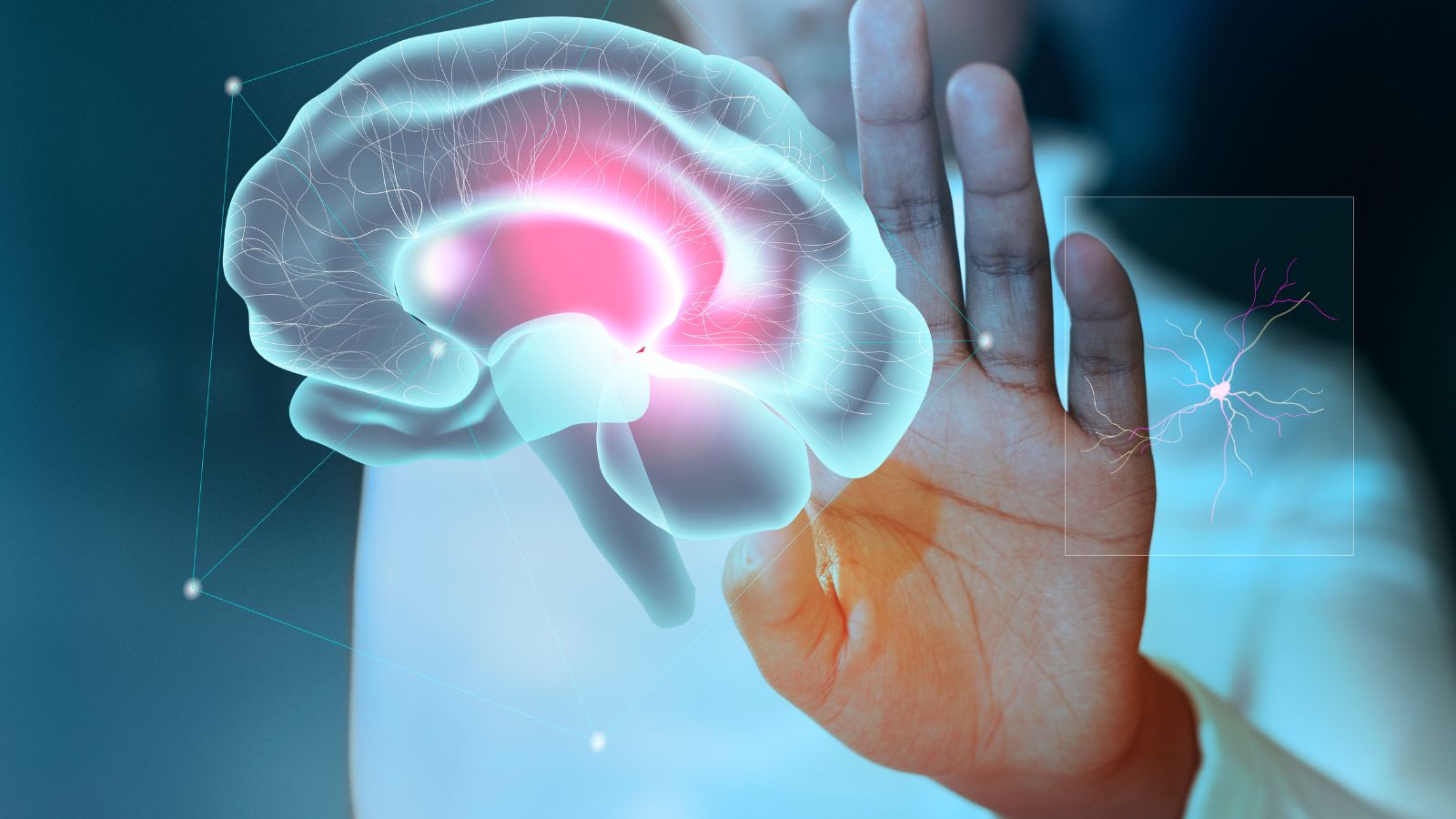 Cérebro na mão