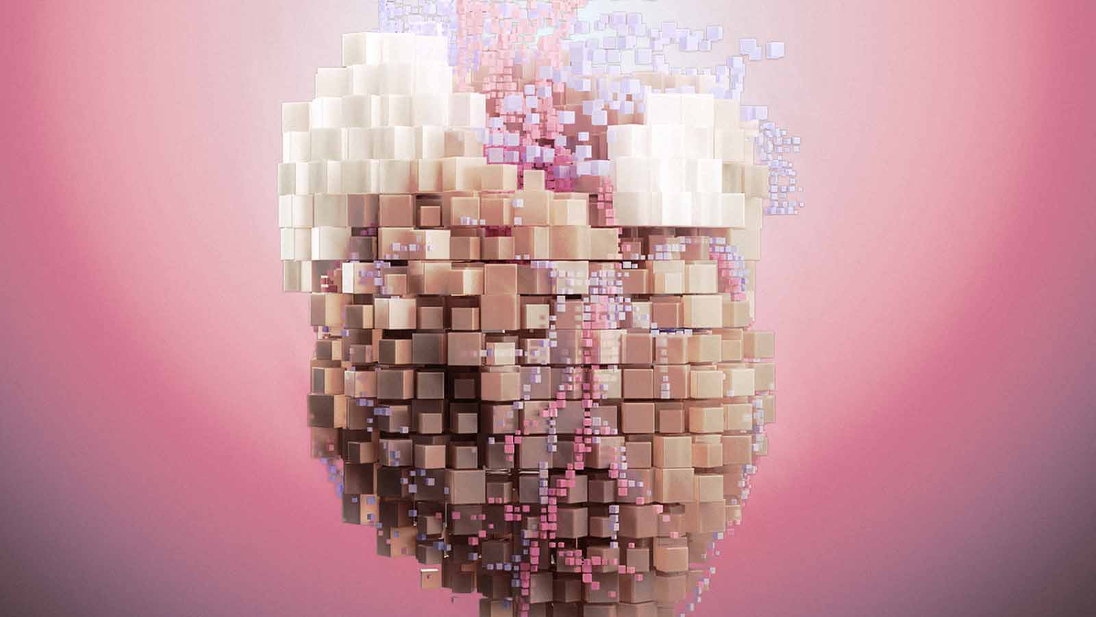 cabeça composta por bancos de dados