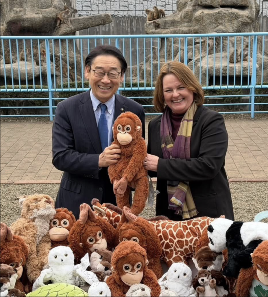 O prefeito da cidade de Ichikawa, Ko Tanaka, postou em sua conta no X que Petra Fare, presidente e diretora de sustentabilidade da IKEA Japão, doou várias unidades de reposição de seu brinquedo de orangotango "DJUNGELSKOGSoft", além de novos bichinhos de pelúcia para Punch.