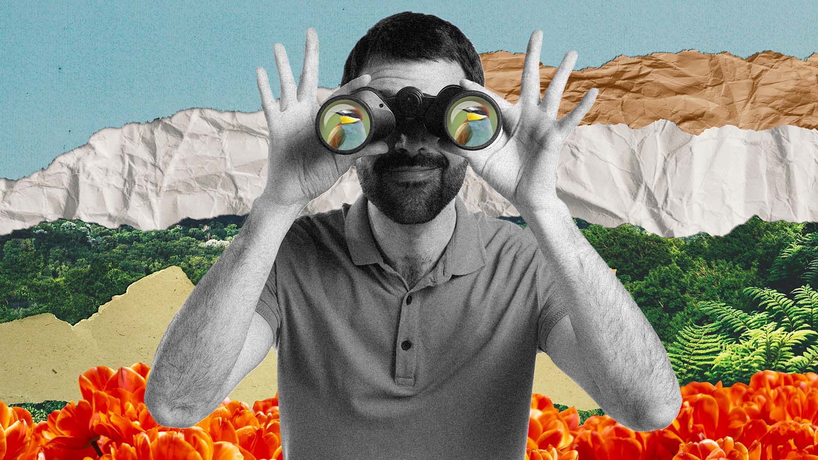 Observar pássaros pode fortalecer áreas do cérebro, aponta estudo