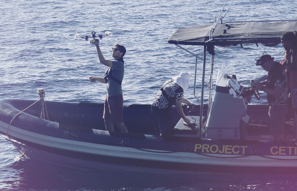 Projeto CETI estuda linguagem das baleias