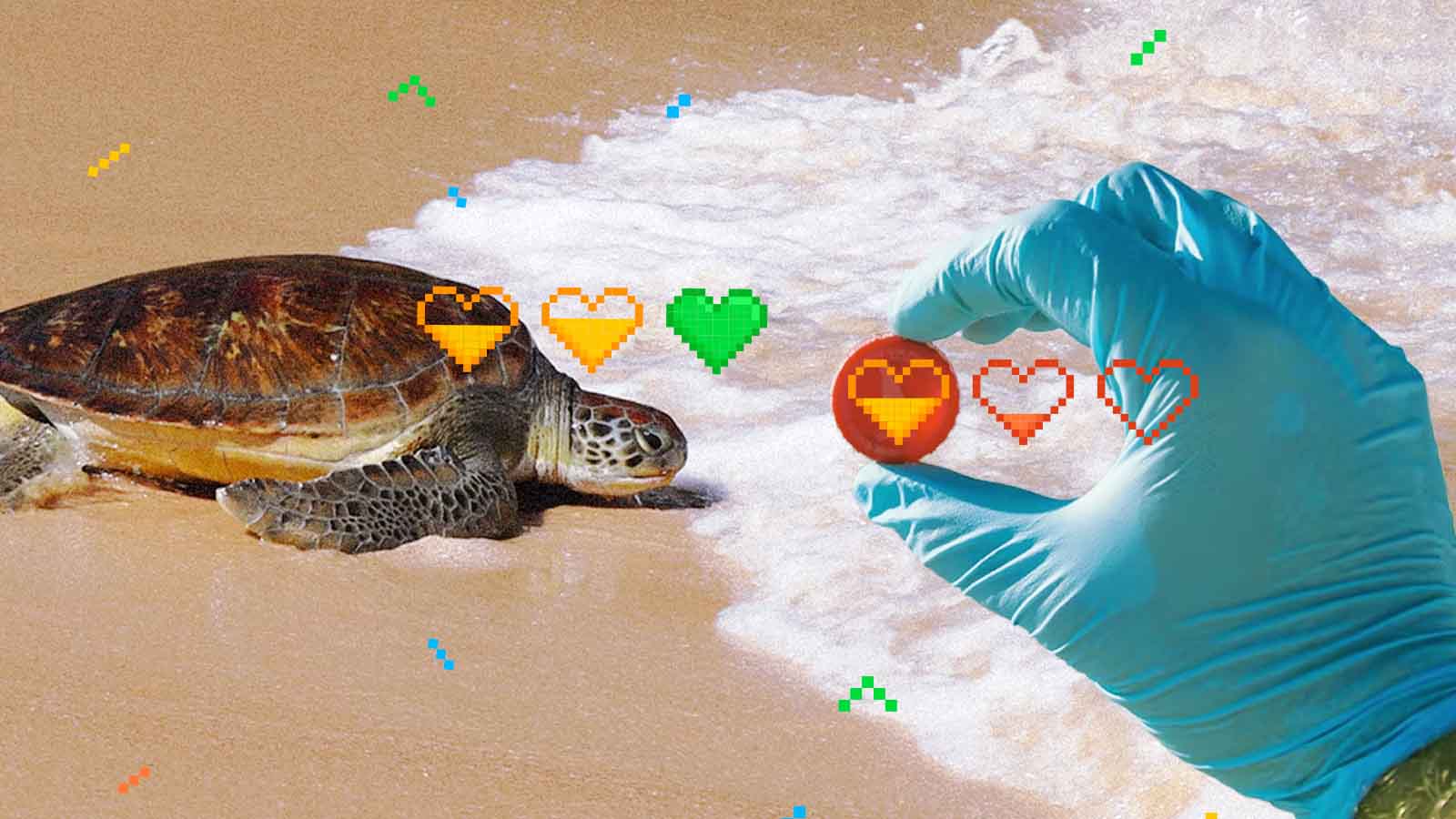 coleta de plásticos na praia salva animais