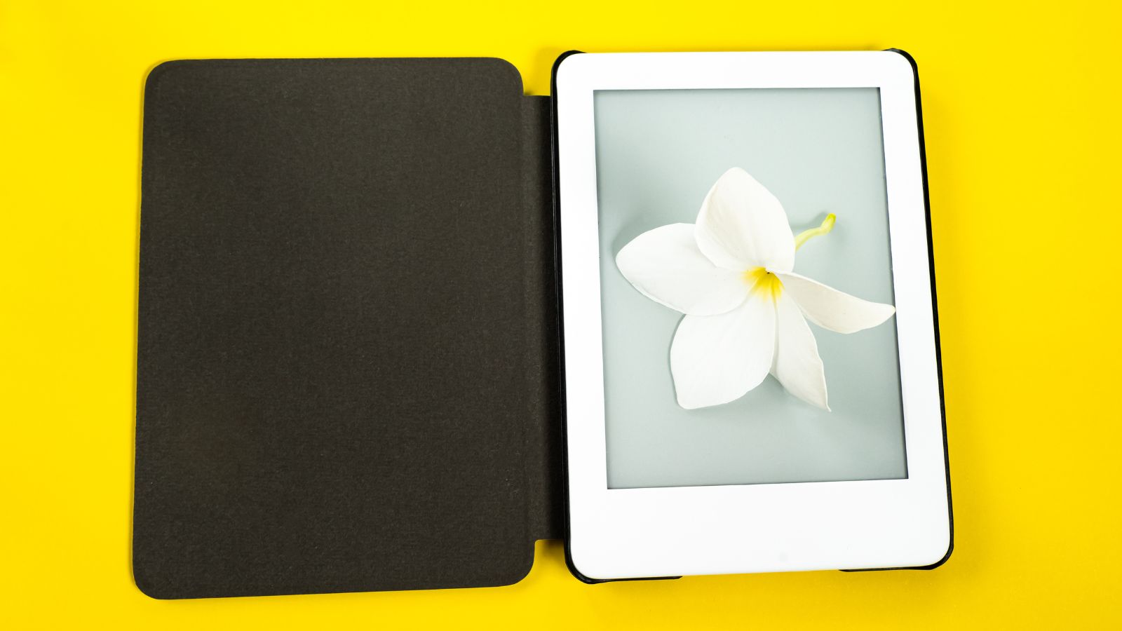 Kindle com capa aberto