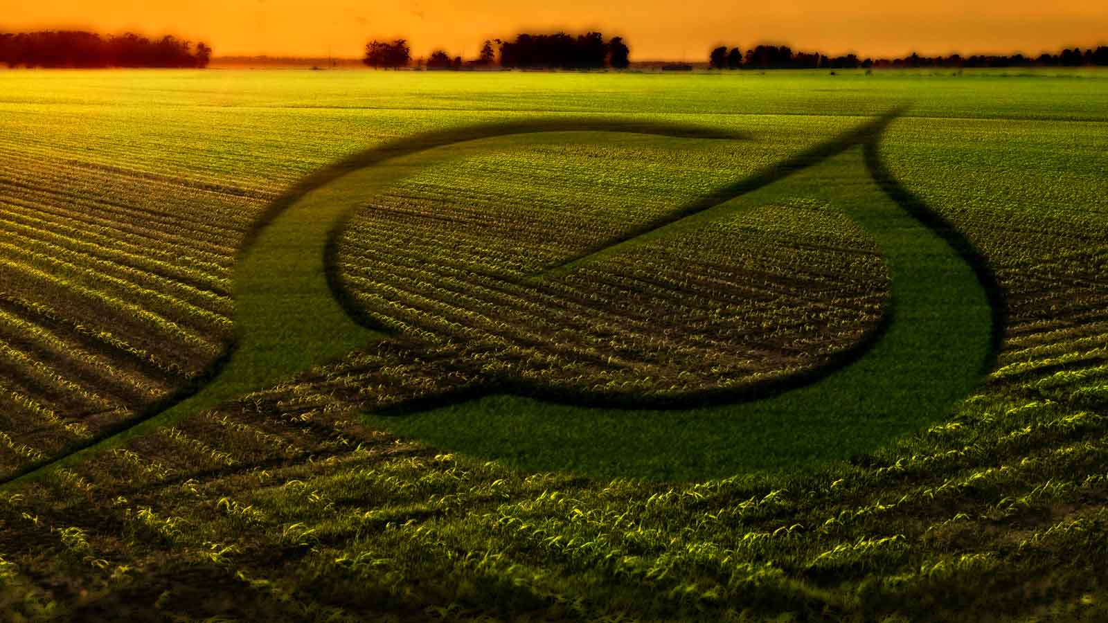 Departamento de Agricultura do governo dos EUA adota a IA Grok