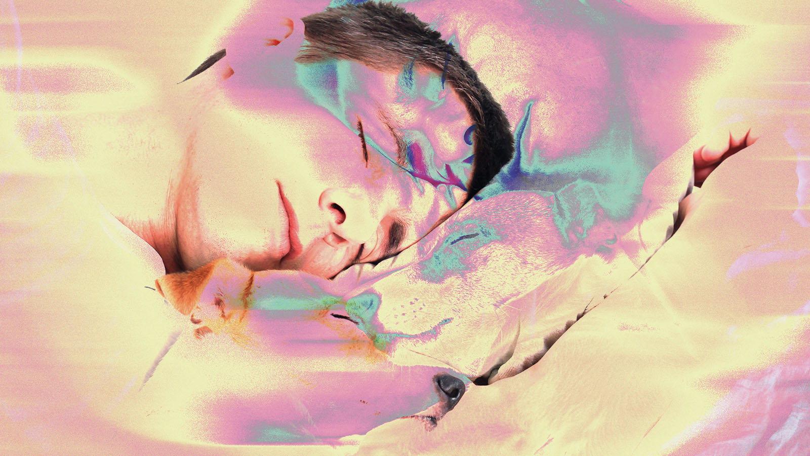 Pessoa dorme abraçada a um cachorro, em uma composição com sobreposição de imagens e tons suaves de rosa, azul e bege. O efeito visual cria uma cena onírica e acolhedora, destacando intimidade, descanso e afeto entre humano e animal.