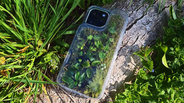 capinha de celular com plantas