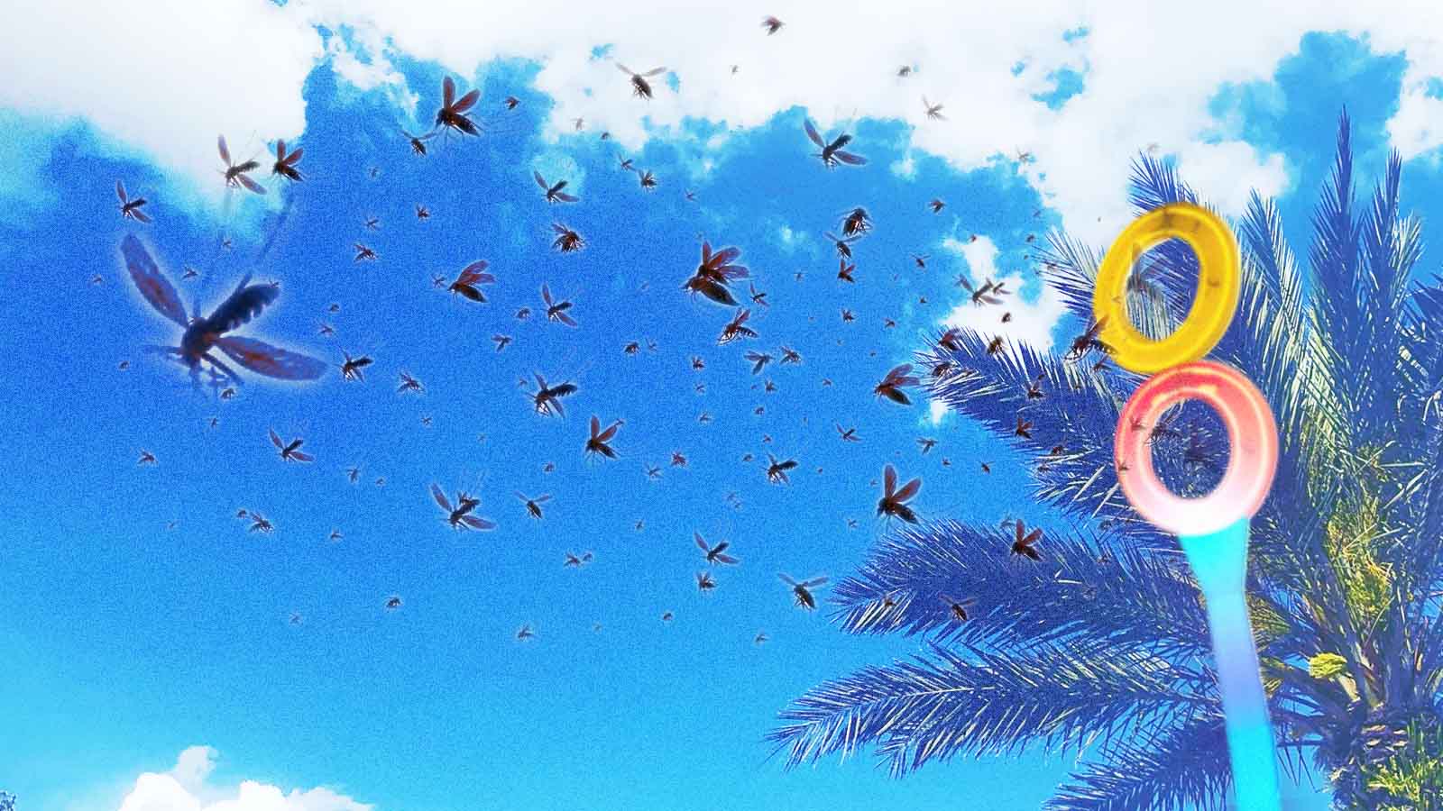 doenças causadas por mosquitos