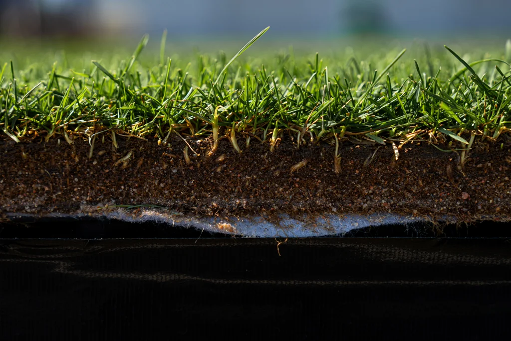 O gramado da Copa  do  Mundo de 2026 nasceu em bandejas rasas e passou por anos de testes