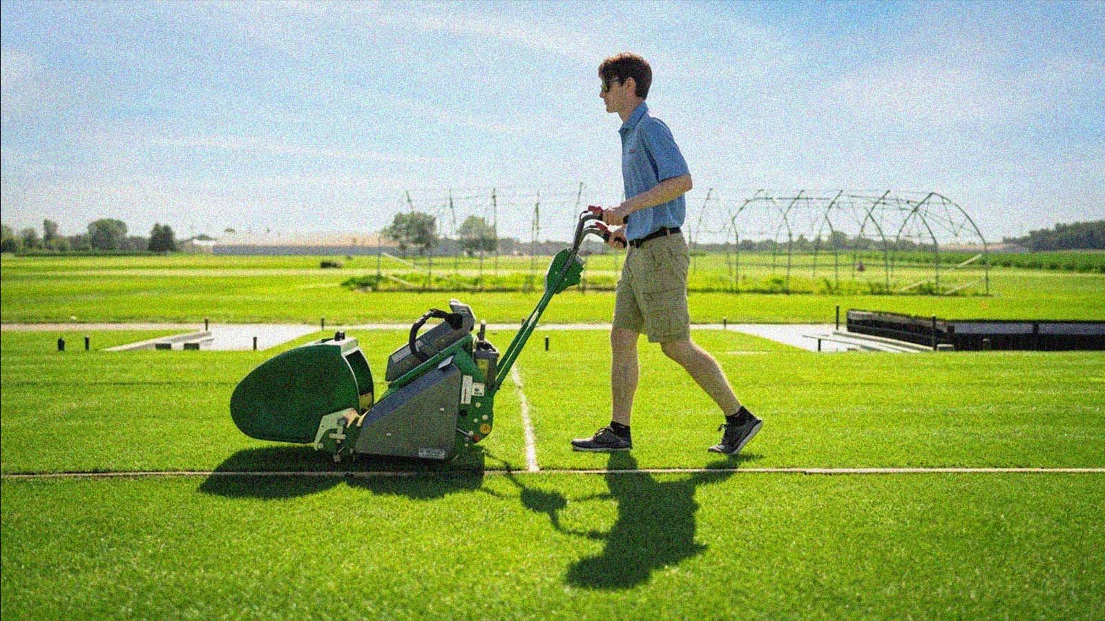 grama especialmente desenvolvida para os campos de jogo da Copa do Mundo