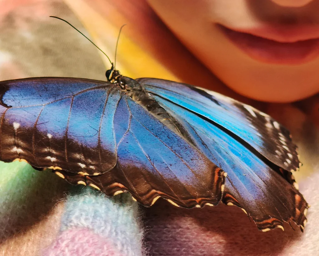 Fotografia de uma borboleta feita com a câmera Leica do Xiaomi 17T, destacando cores naturais e riqueza de detalhes.