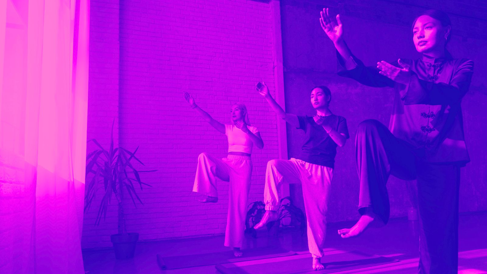Mulheres praticando tai chi