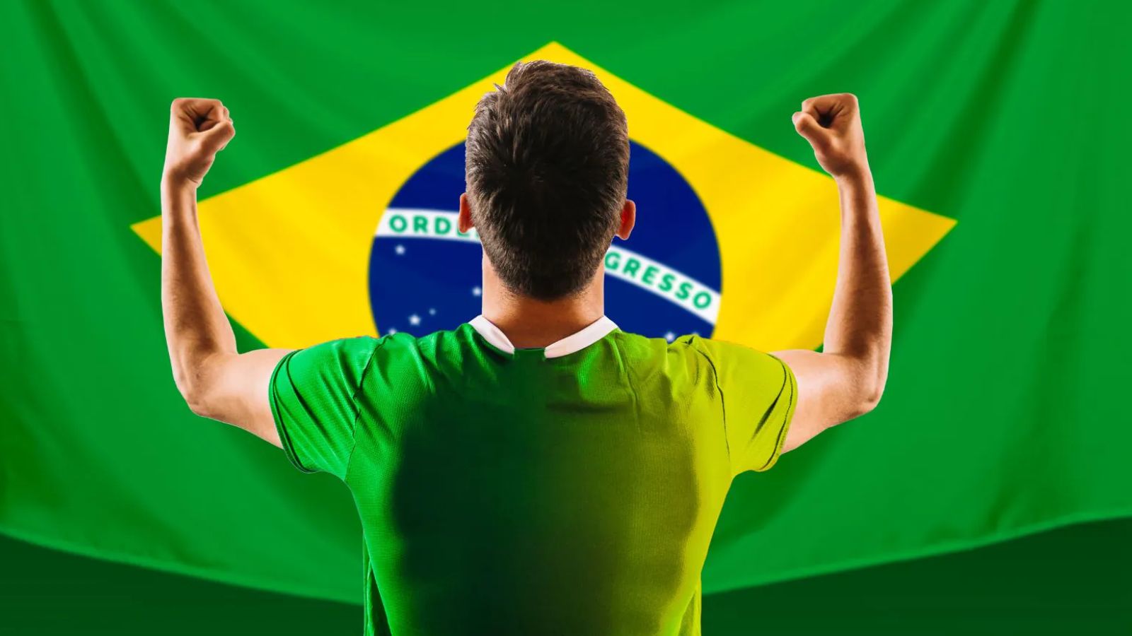 Torcedor do Brasil