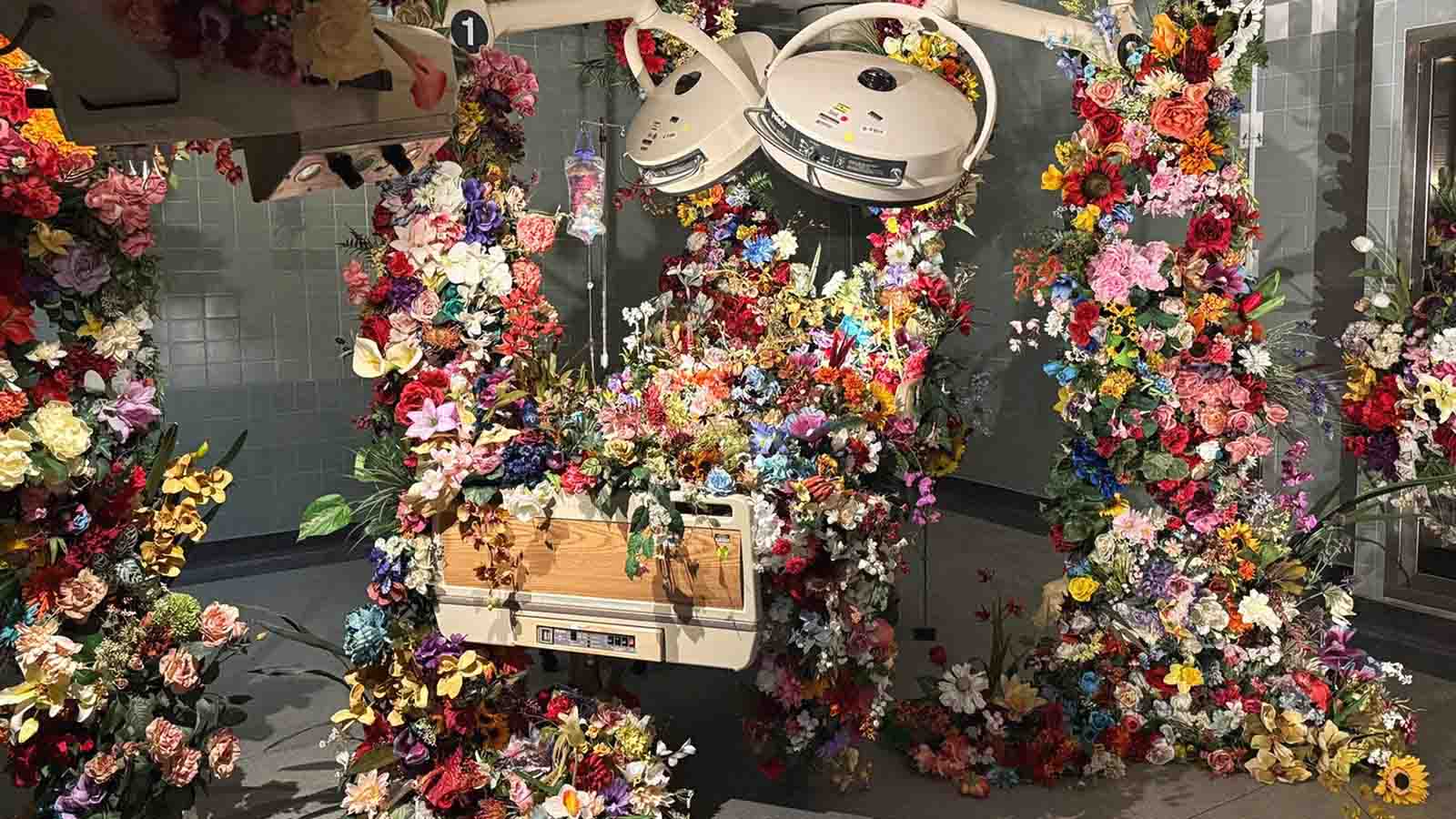 “hospital das emoções” transforma sentimentos em experiências imersivas