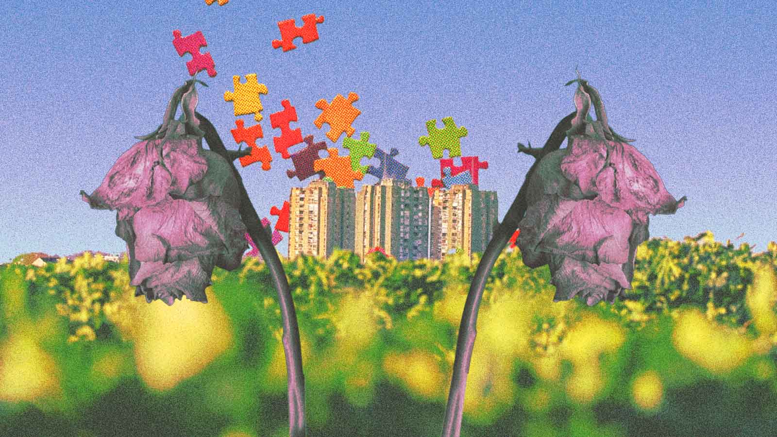 novas perspectivas de ESG