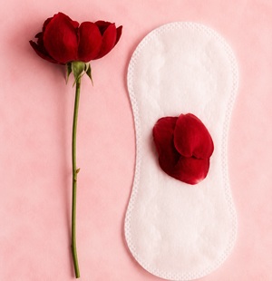 menstrua&ccedil;&atilde;o e sa&uacute;de  da mulher