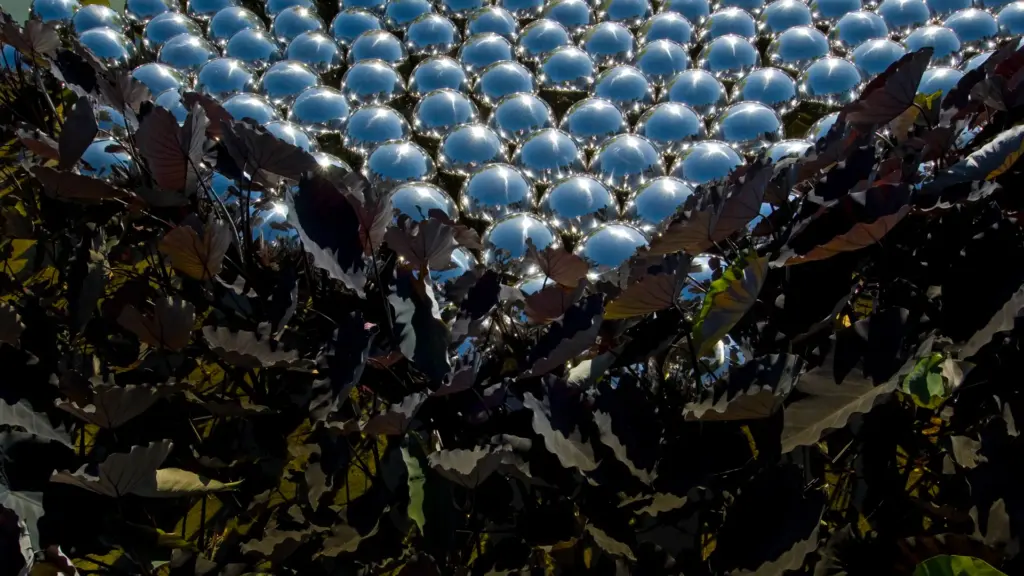 Esferas met&aacute;licas da obra Narcissus Garden refletem o c&eacute;u entre plantas no Inhotim