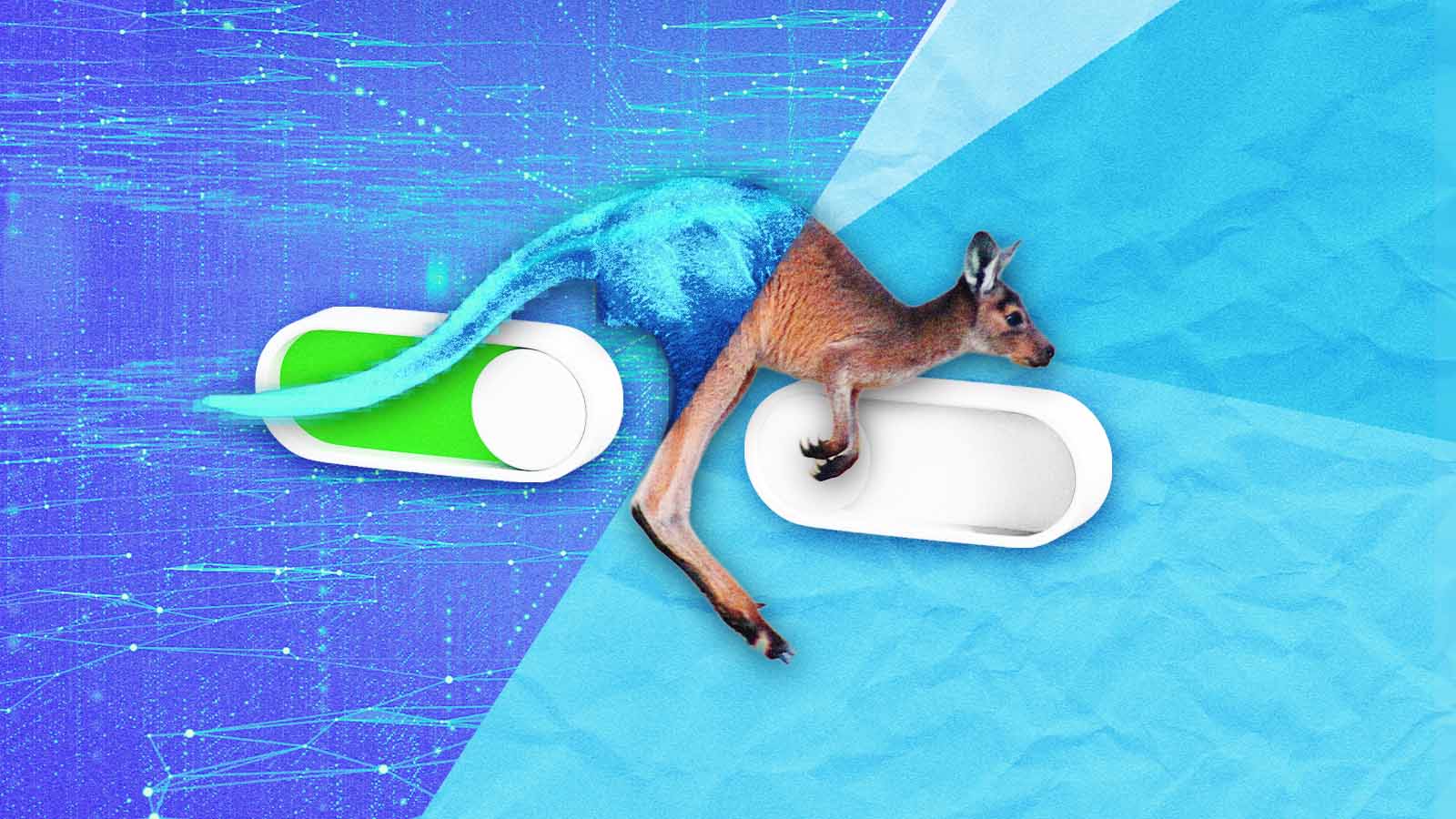 Canguru sobre chinelos em uma composição com fundo digital azul e roxo.