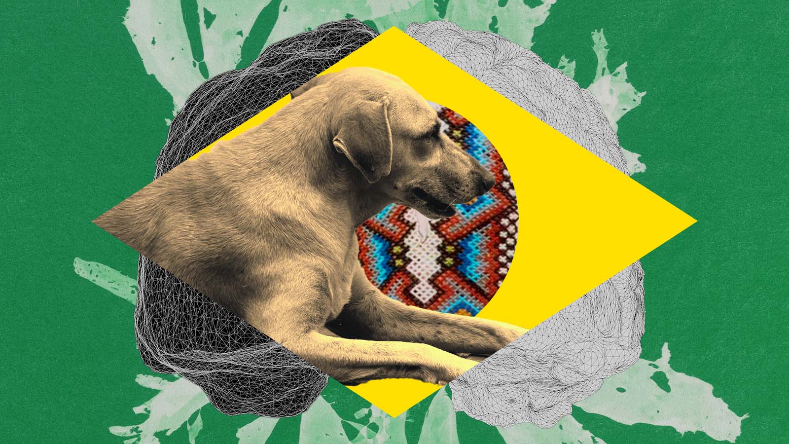 síndrome do vira-lata caramelo
