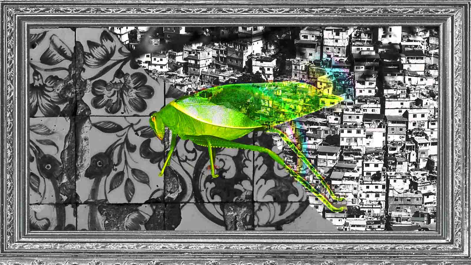 Montagem mostra um inseto verde sobre azulejos e a paisagem da Rocinha, dentro de uma moldura ornamentada