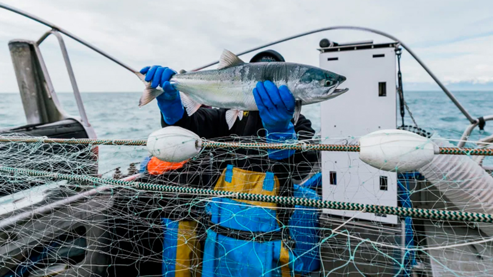 Pescador segura um salmão diante do robô PSDN-S instalado em uma embarcação no Alasca