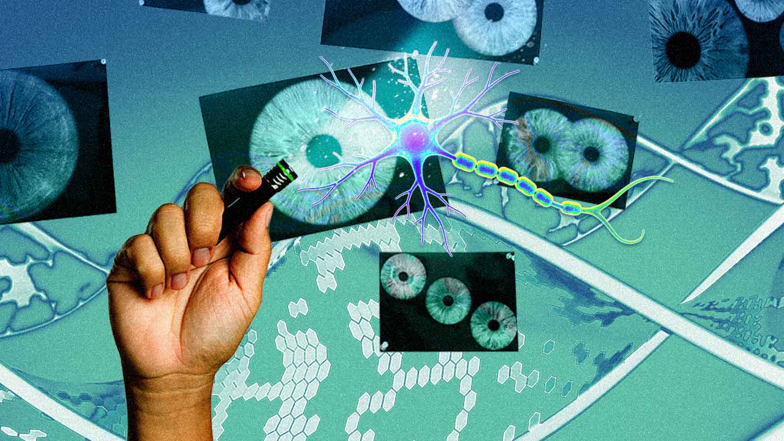 Montagem de uma mão segurando uma pequena lanterna diante de um neurônio ilustrado, com imagens de íris e cortes do cérebro ao fundo.